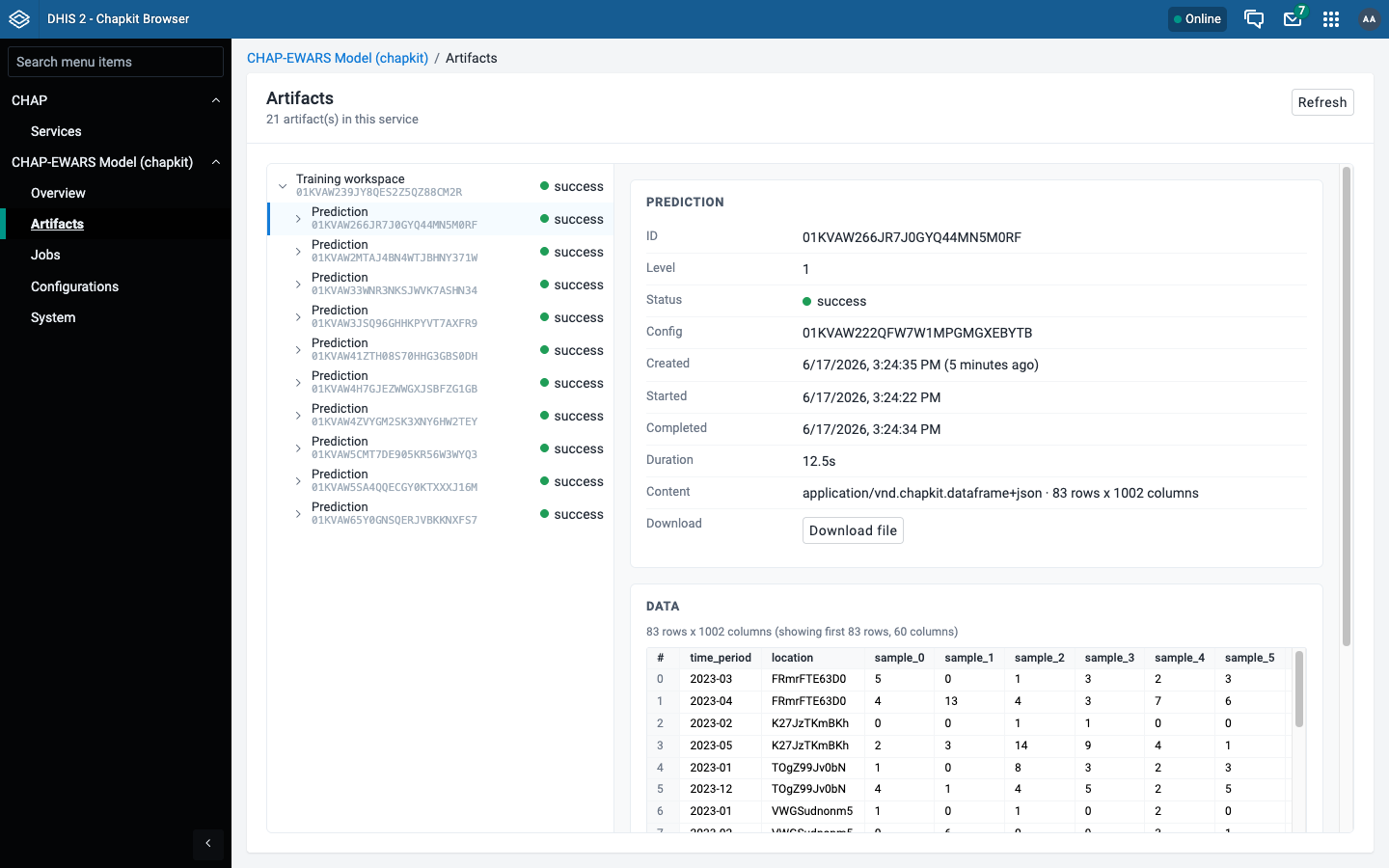 Prediction dataframe preview